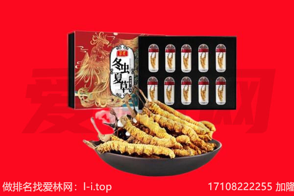 富县回收虫草.jpg